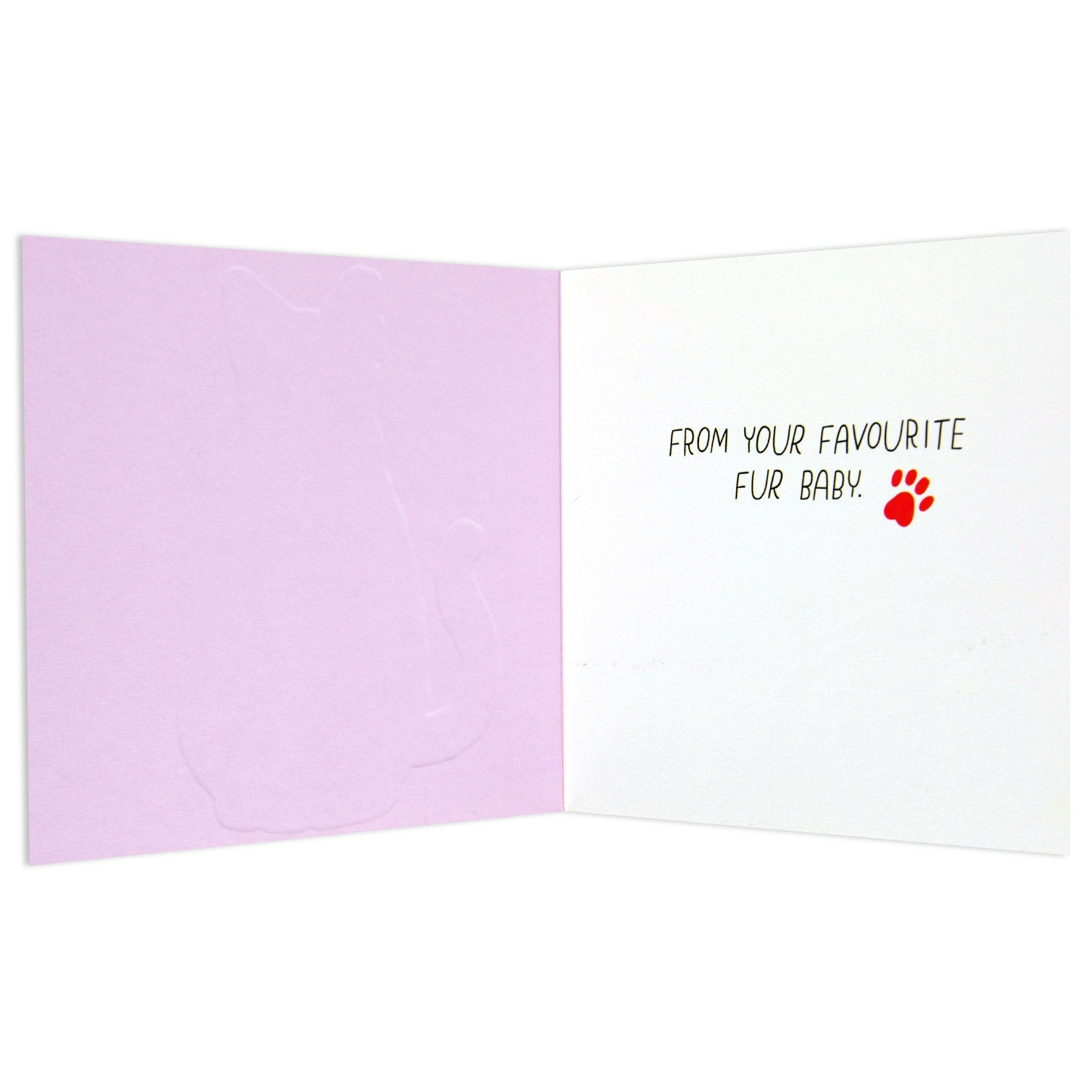 Sweet Happy Birthday To My Favourite Human Cat Card