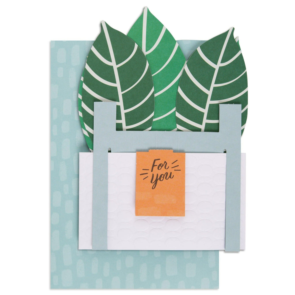 Paper Wonder Pot Plant - Zebra Plant