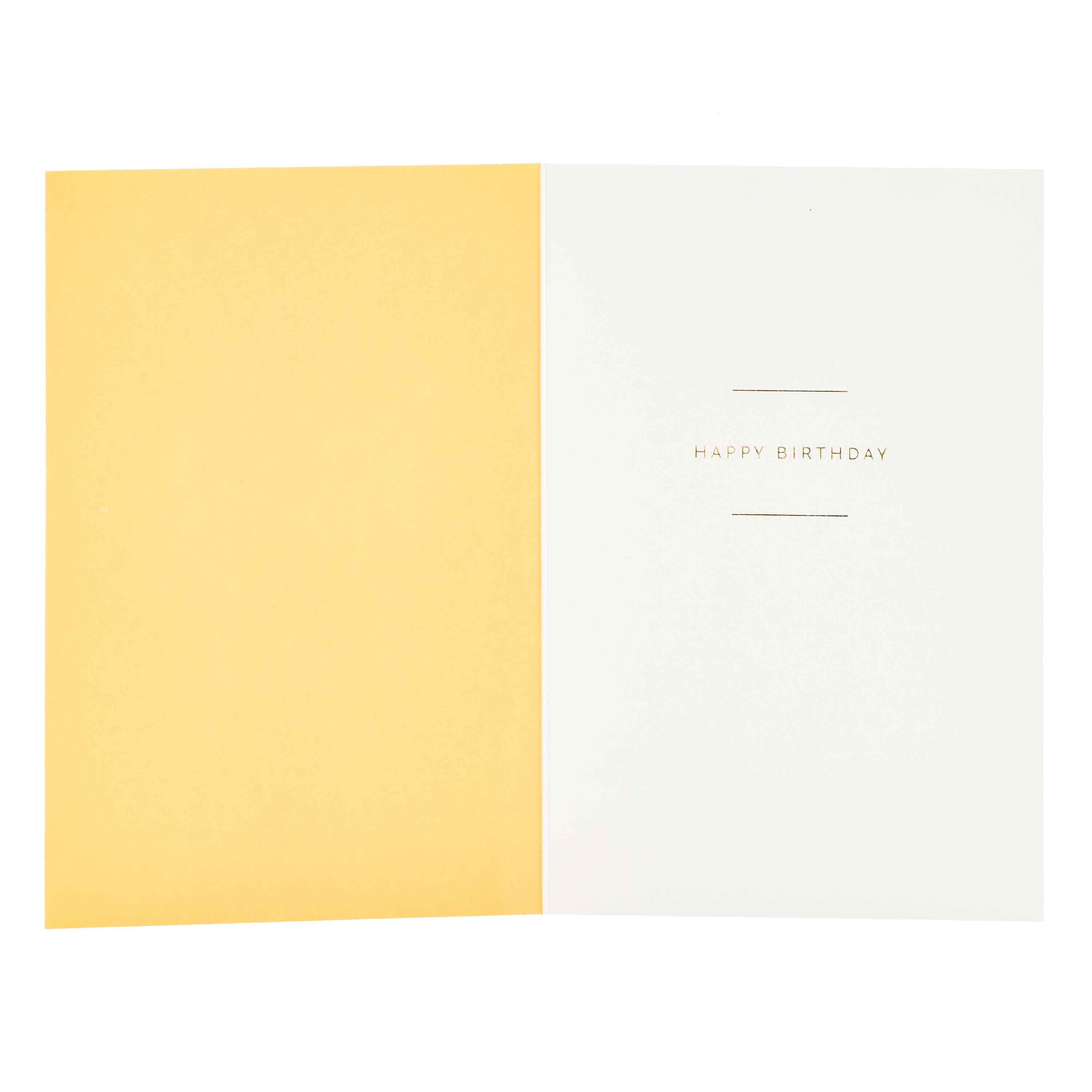 Signature Studio Birthday Card - A Million Reasons