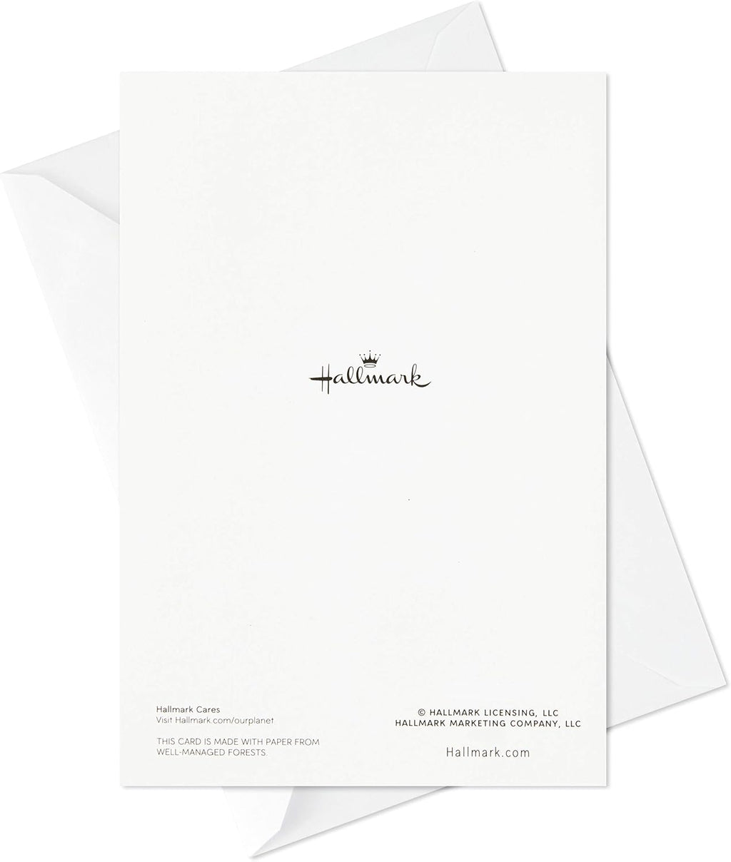 Hallmark All Occasion Cards Assortment Birthday, Congratulations, Blank Cards (12 Cards with Envelopes, Refill Pack for Hallmark Card Organizer Box)