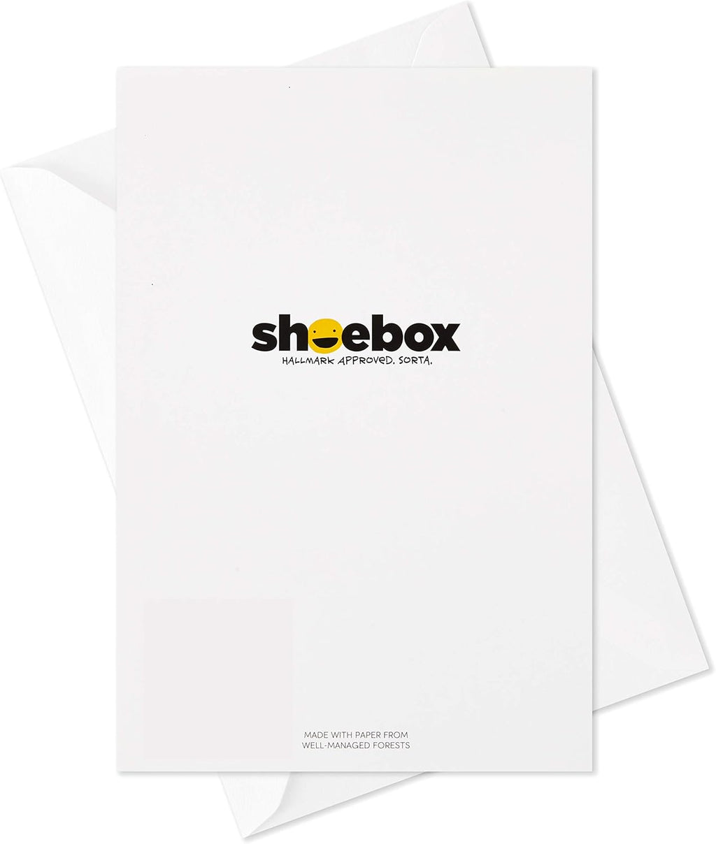 Hallmark Shoebox Funny Blank Cards Assortment (12 All Occasion Cards with Envelopes)