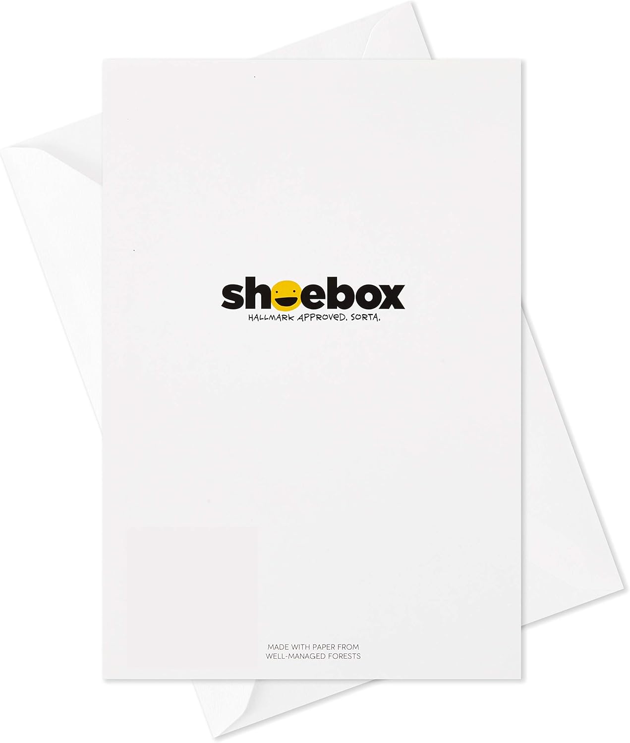 Hallmark Shoebox Funny Blank Cards Assortment (12 All Occasion Cards with Envelopes)