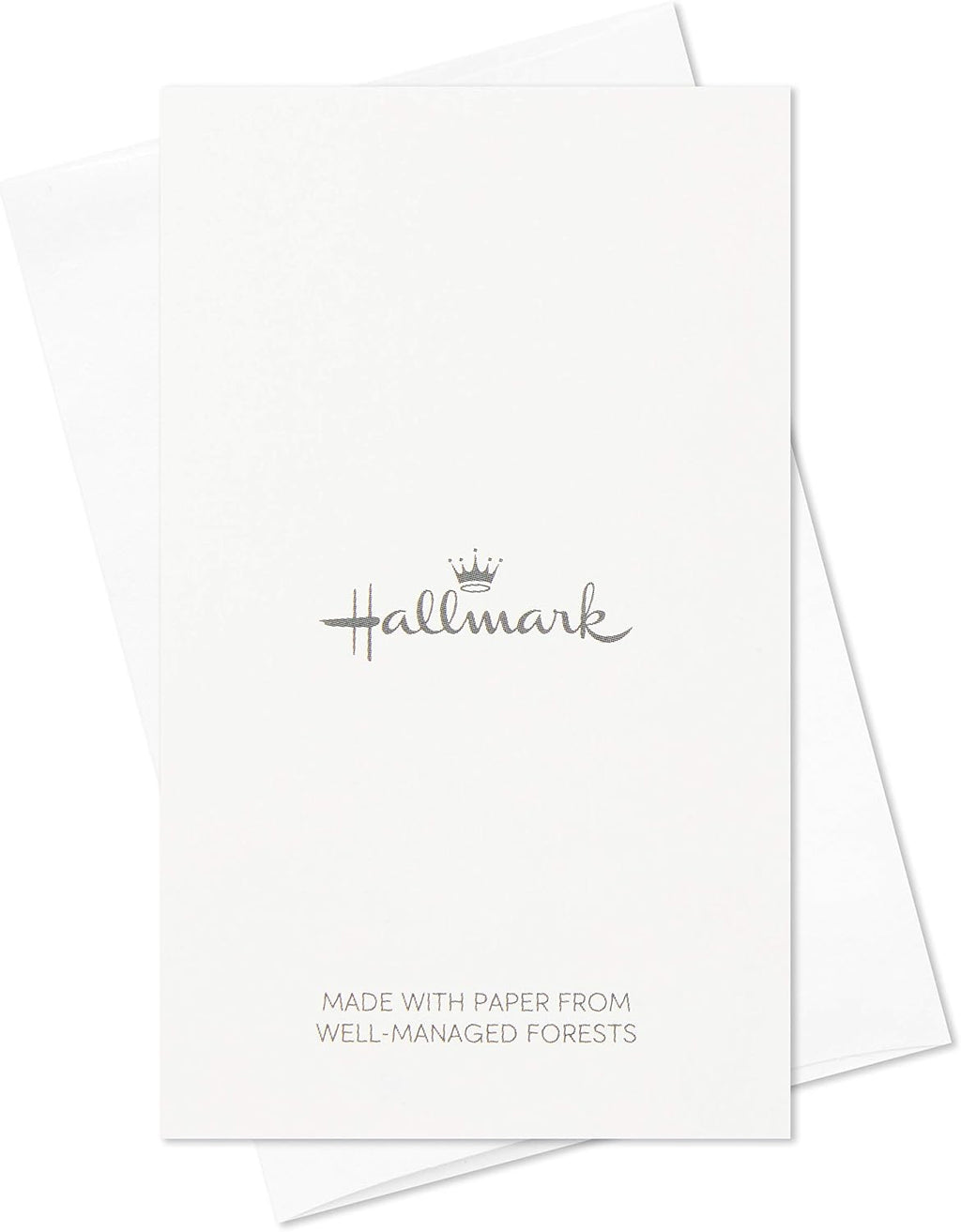 Hallmark Pack of 12 Assorted Mini Birthday Cards, 2.25" x 3.5" Cards with Envelopes (Llamas, Zebras, Dogs, Cats)
