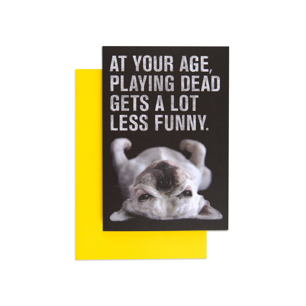 Playing Dead Dog Funny Birthday Card
