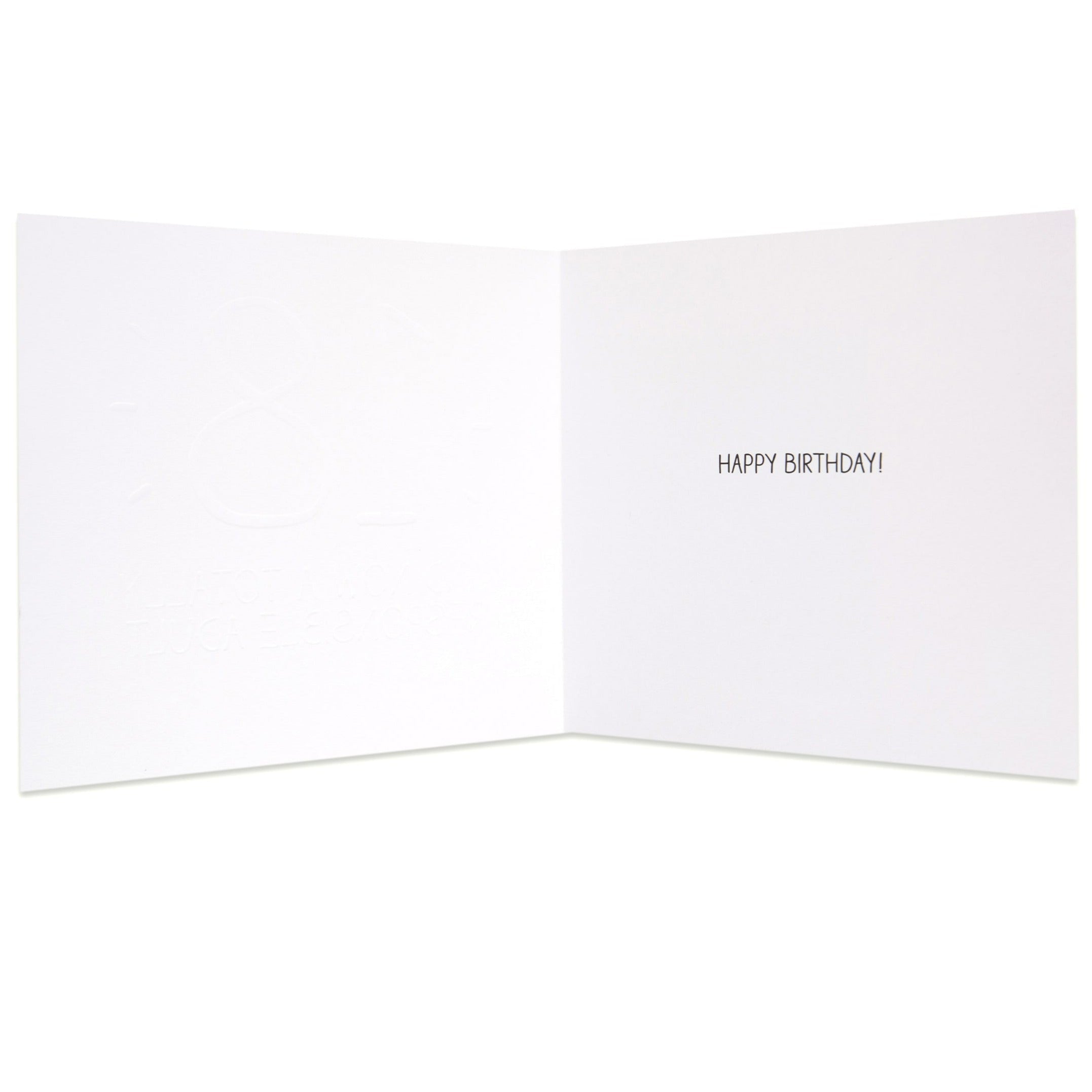 Responsible Adult Funny 18th Birthday Card