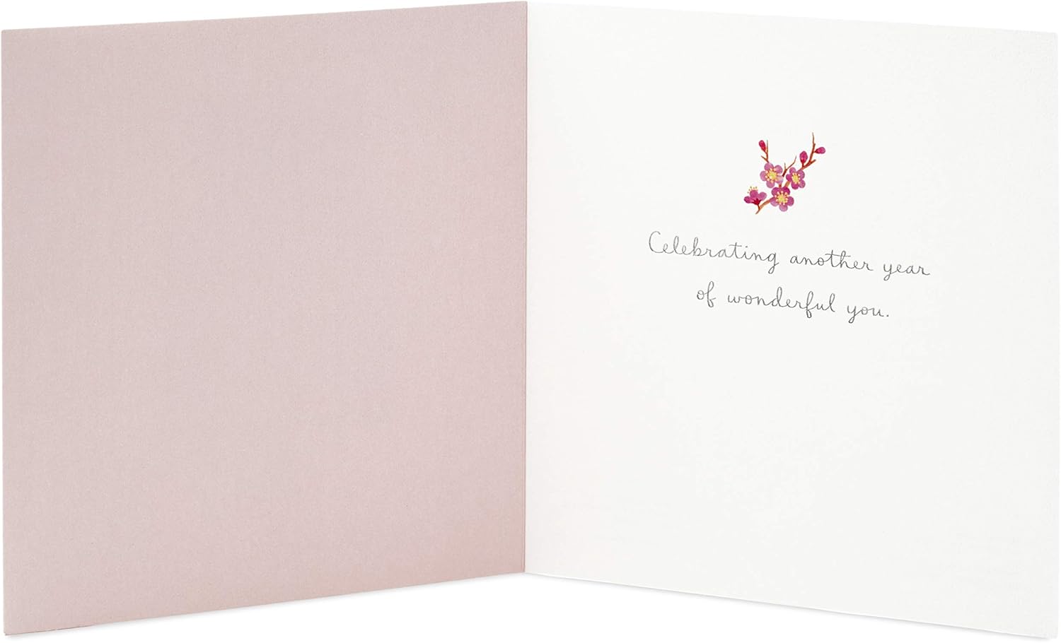 Hallmark Signature Birthday Card for Her (Cake)