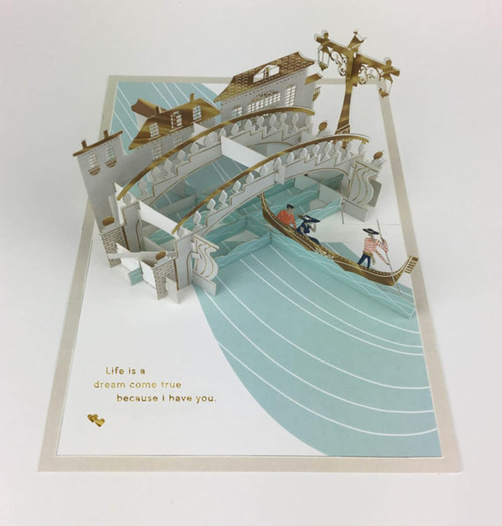 Hallmark Signature Paper Wonder Pop Up Love Card, Because I Have You (Birthday Card, Anniversary Card, Sweetest Day Card)