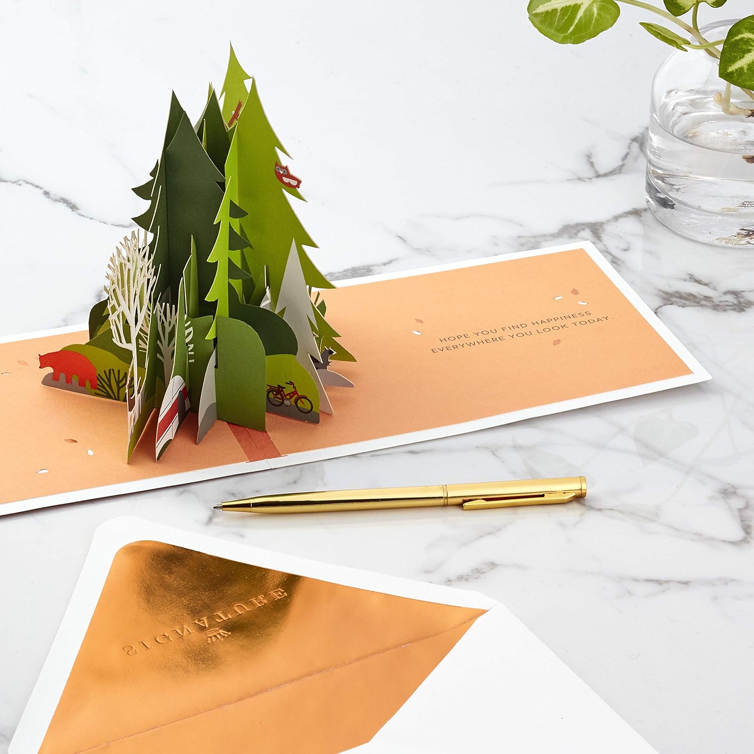 Hallmark Signature Paper Wonder Pop Up Birthday Card (Adventure Awaits)