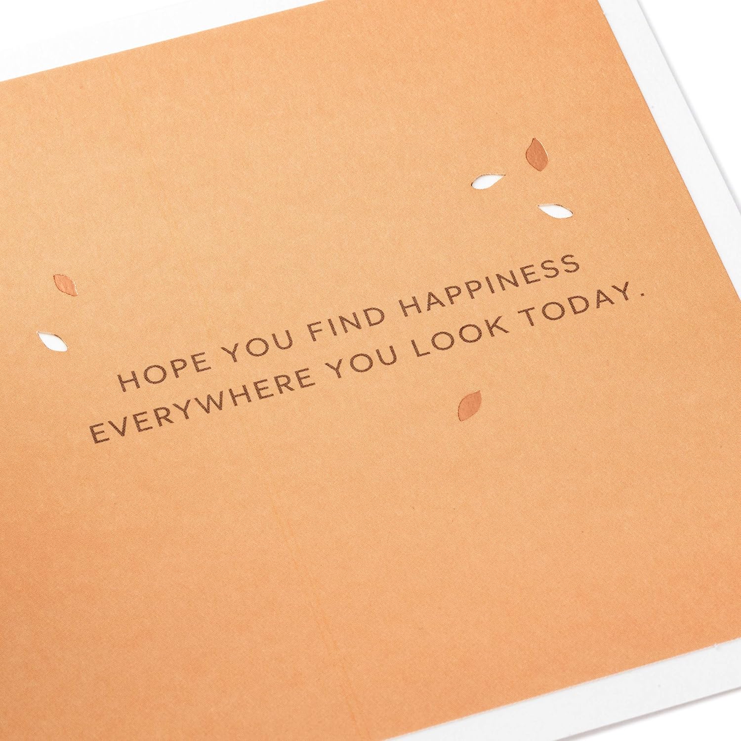 Hallmark Signature Paper Wonder Pop Up Birthday Card (Adventure Awaits)