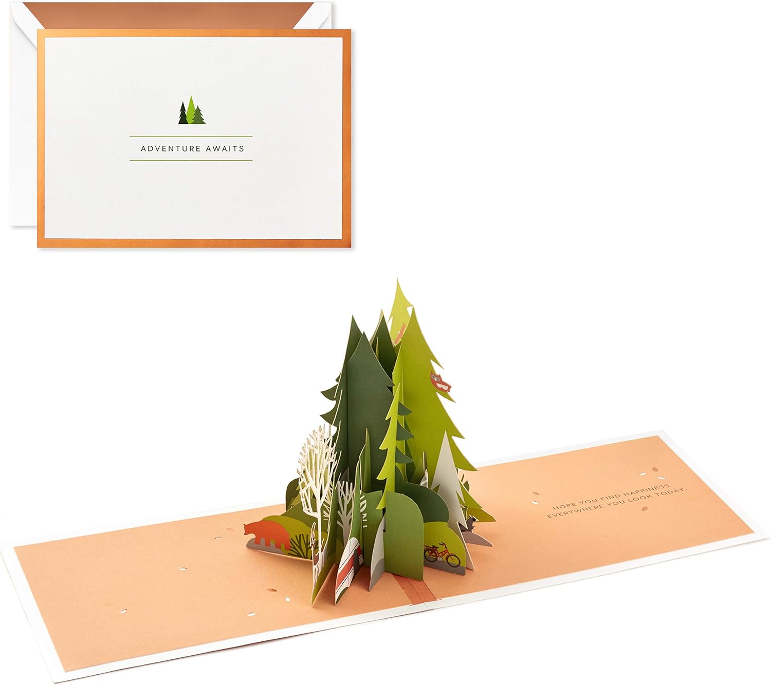 Hallmark Signature Paper Wonder Pop Up Birthday Card (Adventure Awaits)
