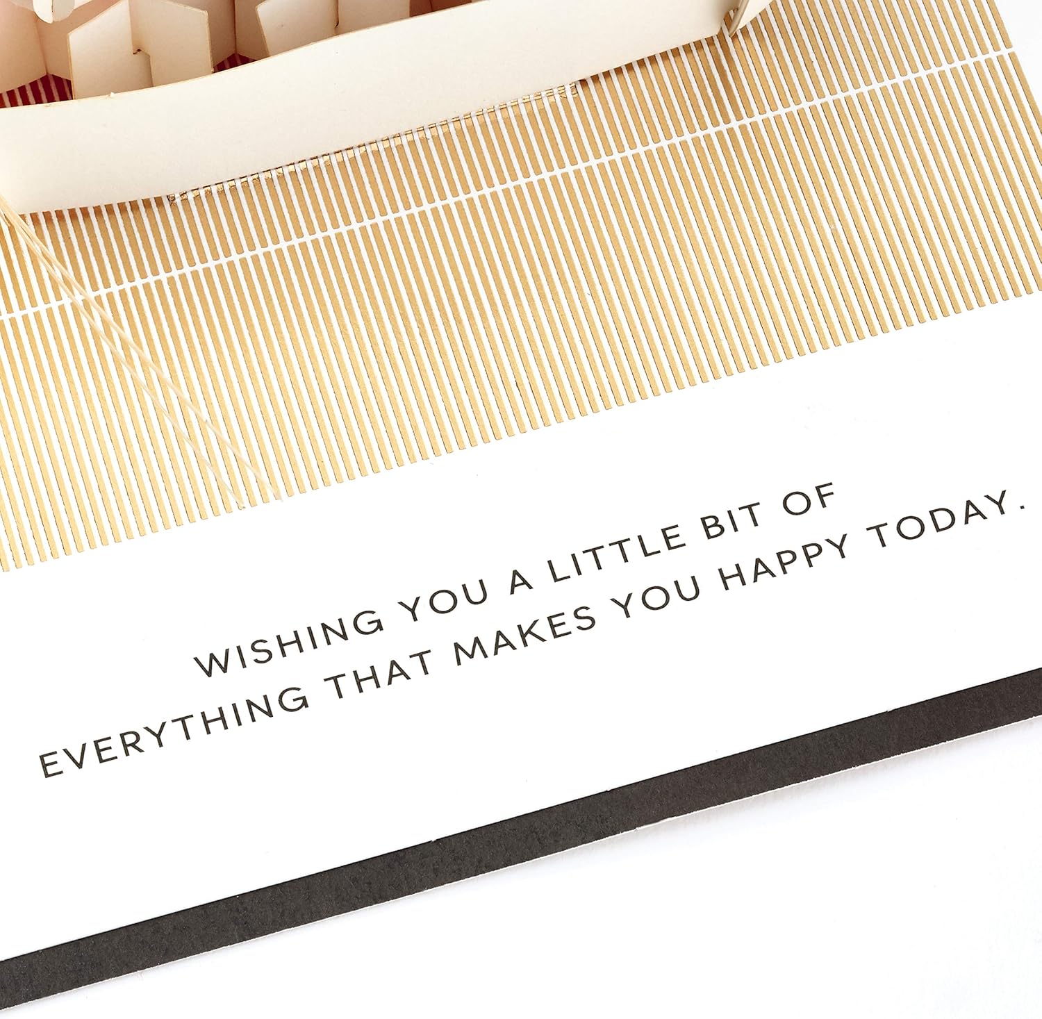 Hallmark Signature Paper Wonder Pop Up Birthday Card (Sushi, Everything That Makes You Happy)