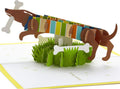 Hallmark Signature Paper Wonder Pop Up Birthday Card, Fathers Day Card (Dachshund, Happy All Day Long)