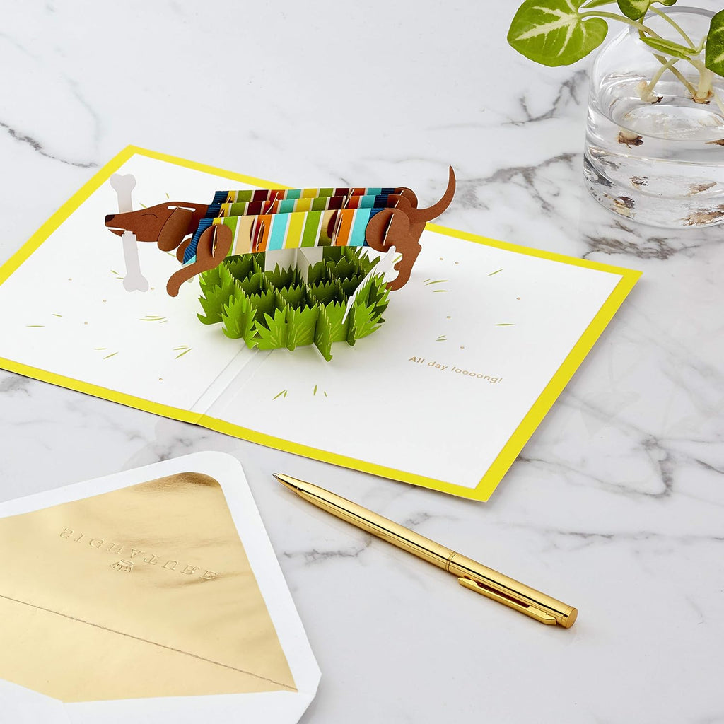 Hallmark Signature Paper Wonder Pop Up Birthday Card, Fathers Day Card (Dachshund, Happy All Day Long)