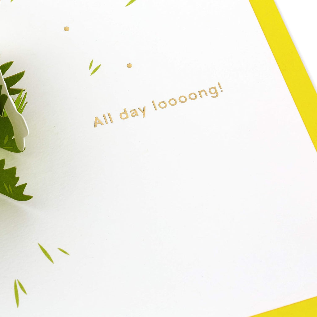 Hallmark Signature Paper Wonder Pop Up Birthday Card, Fathers Day Card (Dachshund, Happy All Day Long)
