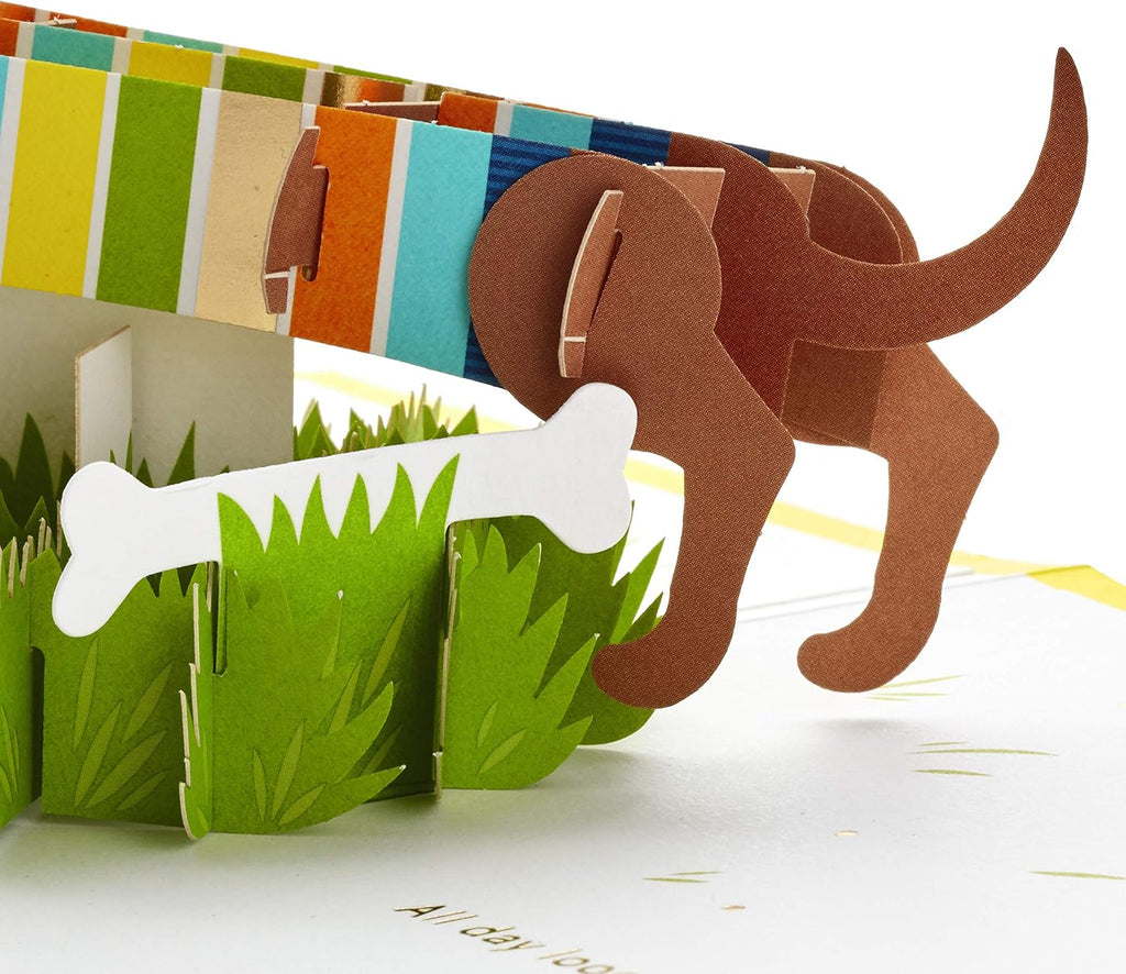 Hallmark Signature Paper Wonder Pop Up Birthday Card, Fathers Day Card (Dachshund, Happy All Day Long)
