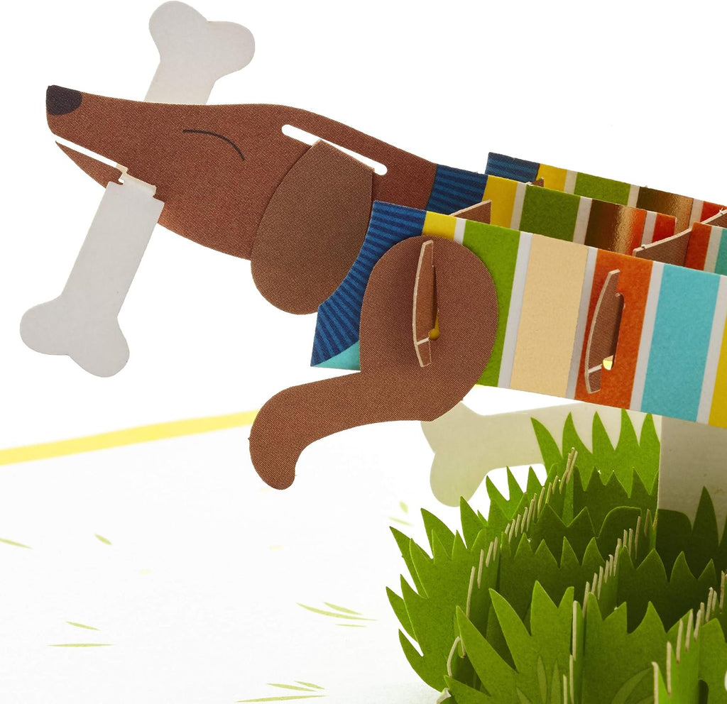 Hallmark Signature Paper Wonder Pop Up Birthday Card, Fathers Day Card (Dachshund, Happy All Day Long)