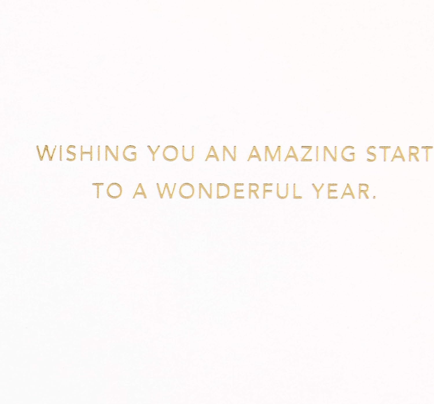 Hallmark Signature Birthday Card (Wonderful Year)
