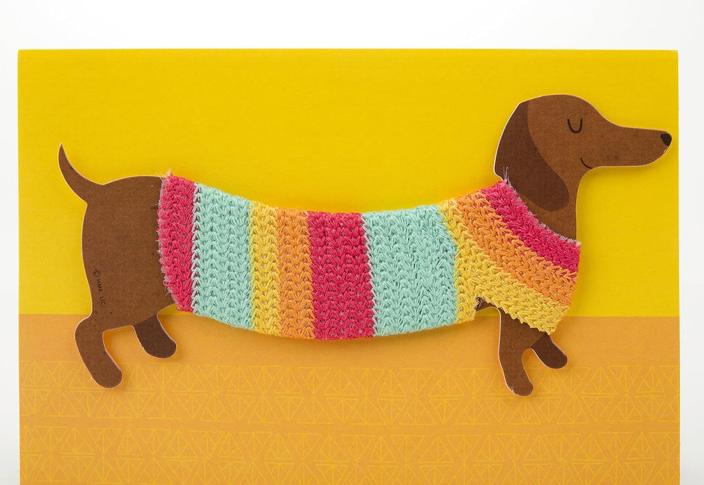 Hallmark Signature Birthday Greeting Card (Dog in Sweater)