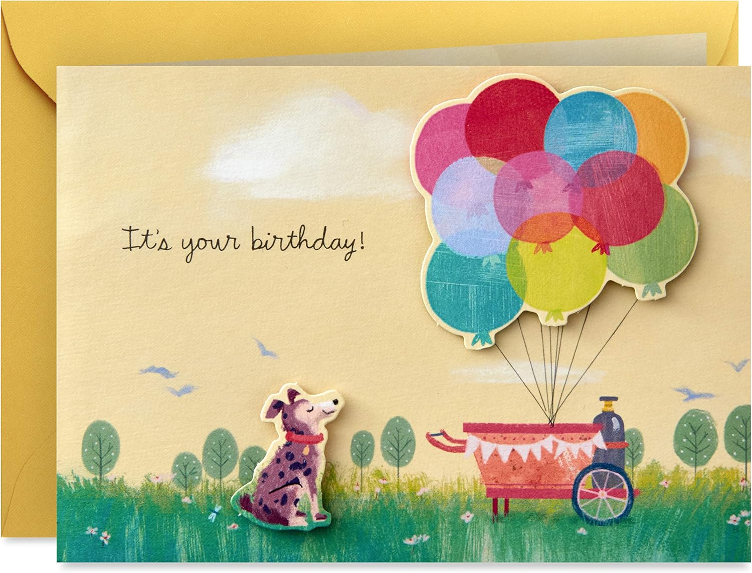 Hallmark Paper Wonder Pop Up Birthday Card (Get Carried Away)