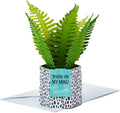 Hallmark Paper Wonder Pop Up Card for Birthday, Thinking of You, Congrats, Get Well, or Any Occasion (Potted Fern)