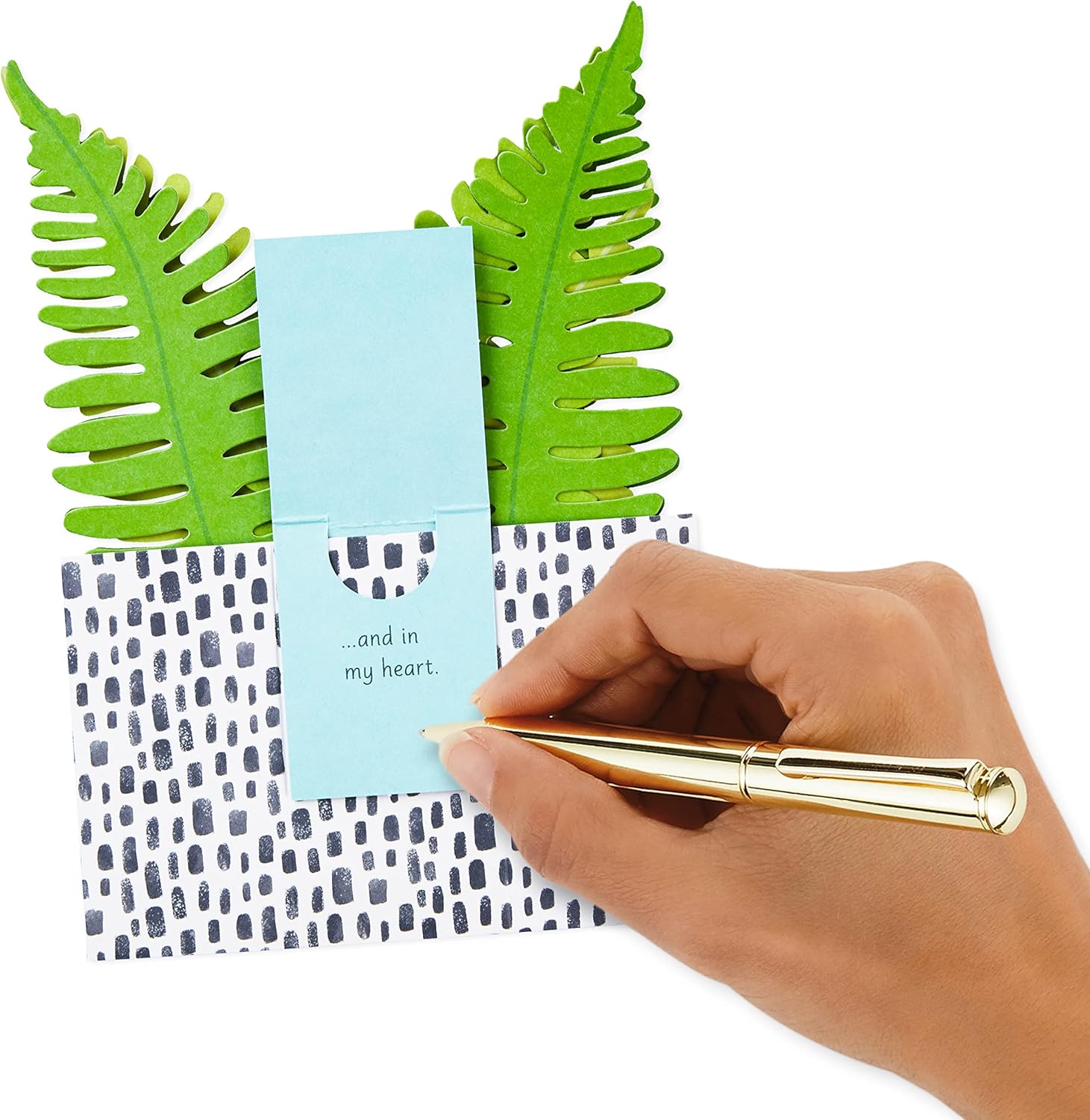 Hallmark Paper Wonder Pop Up Card for Birthday, Thinking of You, Congrats, Get Well, or Any Occasion (Potted Fern)